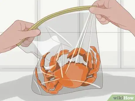 Imagen titulada Ship Food Step 3