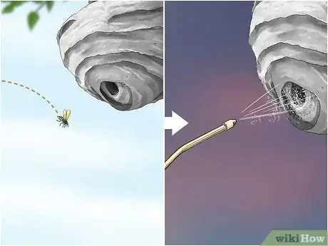 Imagen titulada Kill a Hornet Nest Step 12