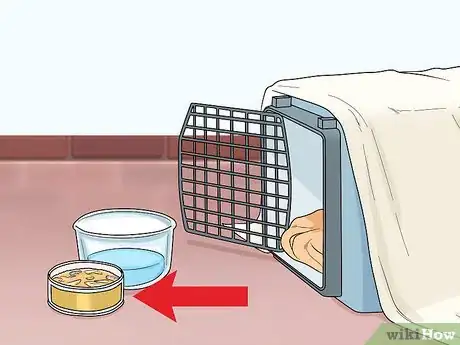 Imagen titulada Attract Cats Step 4