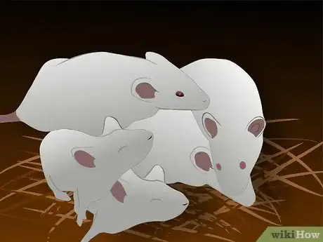 Imagen titulada Feed a Snake Step 1