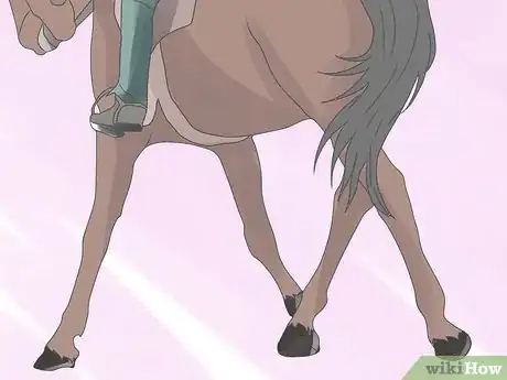 Imagen titulada Teach Your Horse to Side Pass Step 10