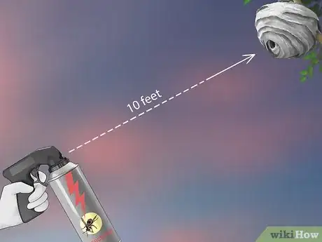 Imagen titulada Kill a Hornet Nest Step 14