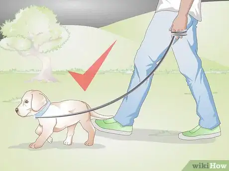 Imagen titulada Get Your Puppy To Sleep in Its Own Bed Step 9