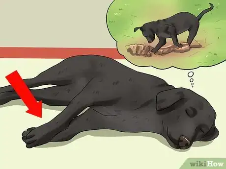 Imagen titulada Know if Your Dog Is Dreaming Step 3