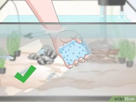 Imagen titulada Take Care of Your Fish Step 16