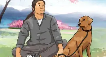 pasear a tu perro