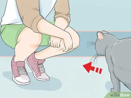 Imagen titulada Attract Cats Step 7