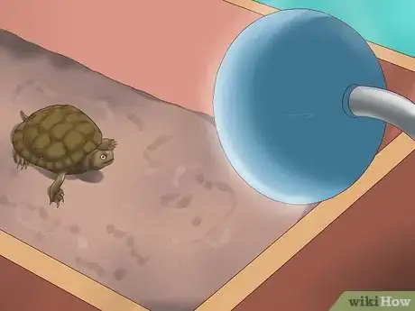 Imagen titulada Make a Turtle Trap Step 13
