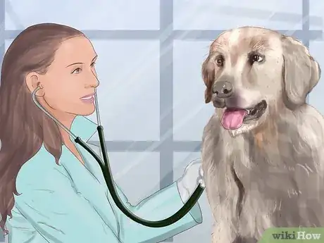 Imagen titulada Recognize Fear in Dogs Step 12
