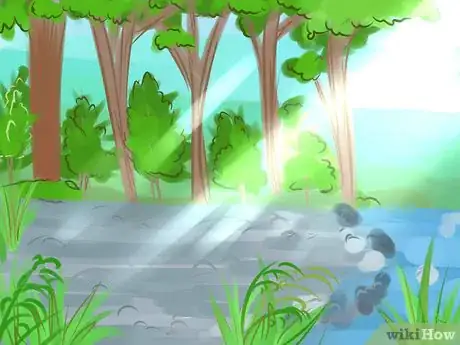 Imagen titulada Make a Sweat Bath in the Wilderness Step 1