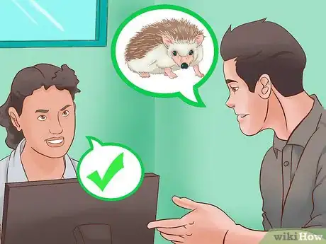 Imagen titulada Breed Hedgehogs Step 1