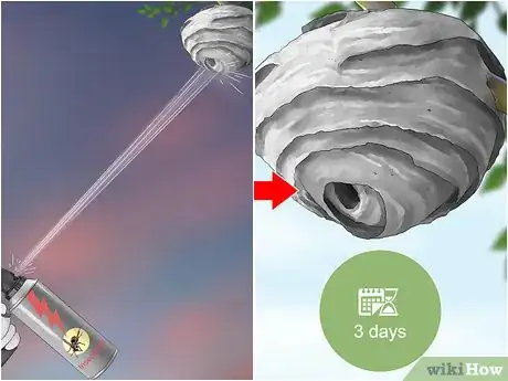 Imagen titulada Kill a Hornet Nest Step 17