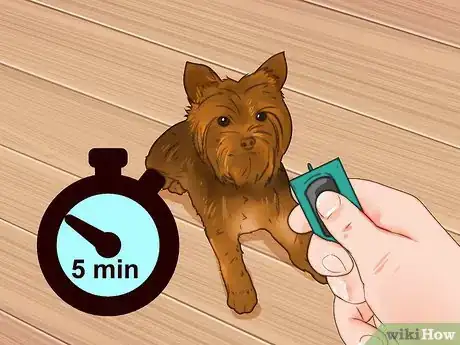 Imagen titulada Train a Yorkie Step 10