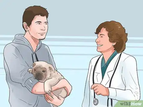 Imagen titulada Nurse a Dog Through Parvo Step 1