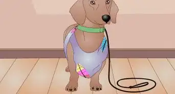 hacer un abrigo para perro