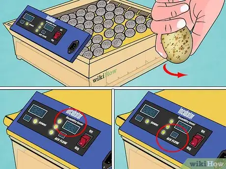 Imagen titulada Find and Take Care of Wild Bird Eggs Step 6