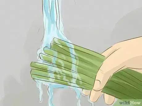 Imagen titulada Eat Cattails Step 1