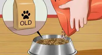 evitar que tu perro evacue en su jaula