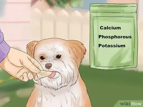 Imagen titulada Feed Your Shih Tzu Step 13