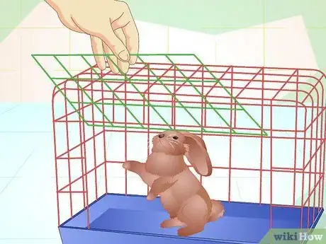 Imagen titulada Make Your Bunny Come to You when You Open the Cage Step 4