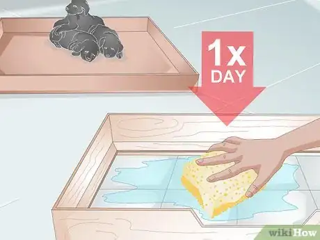 Imagen titulada Keep a Whelping Box Clean Step 4