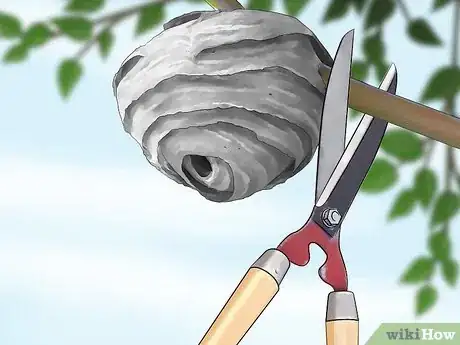 Imagen titulada Kill a Hornet Nest Step 19
