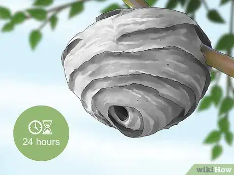 Imagen titulada Kill a Hornet Nest Step 16