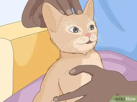 Imagen titulada Pet a Cat Step 2