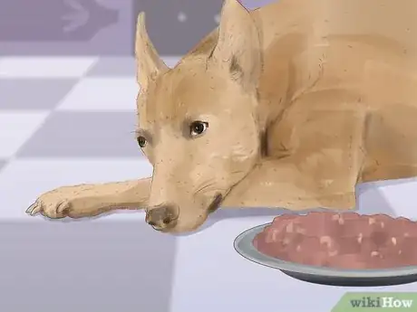 Imagen titulada Recognize Fear in Dogs Step 10