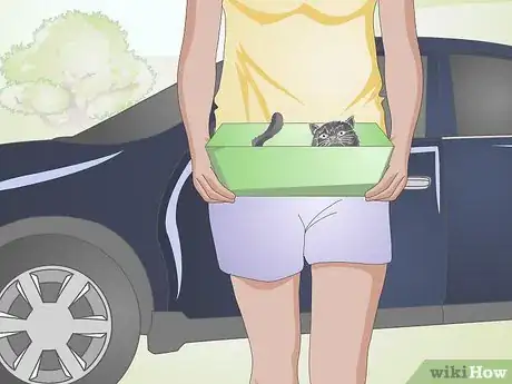 Imagen titulada Take Care of a Kitten with a Broken Leg Step 5