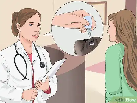 Imagen titulada Treat Eye Problems in Boston Terriers Step 4
