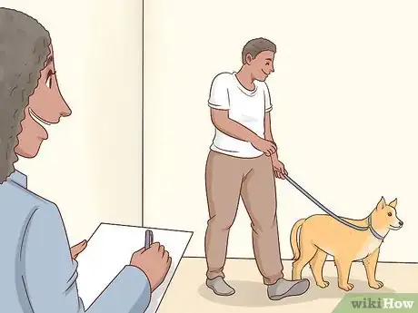Imagen titulada Buy a Dog Step 6