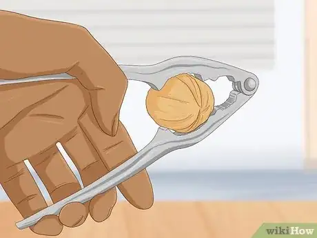Imagen titulada Identify Hickory Nuts Step 17