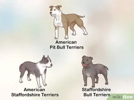 Imagen titulada Breed Pit Bulls Step 3