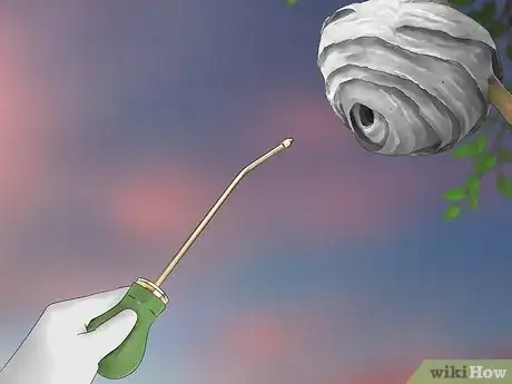 Imagen titulada Kill a Hornet Nest Step 10