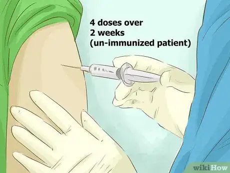 Imagen titulada Administer a Rabies Vaccination Step 13