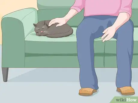 Imagen titulada Pet a Cat Step 9