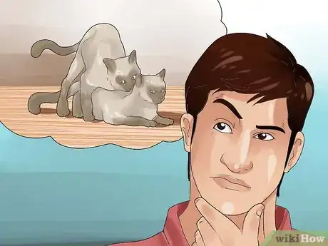 Imagen titulada Tell if Your Cat Is in Heat Step 10