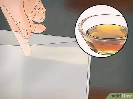 Imagen titulada Breed Hissing Cockroaches Step 2