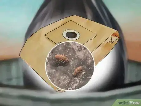 Imagen titulada Get Rid of Fleas in Carpets Step 18