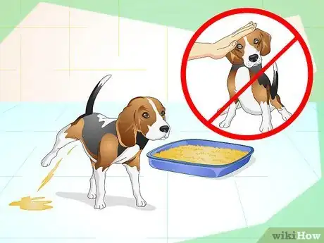 Imagen titulada Litter Train a Dog Step 10