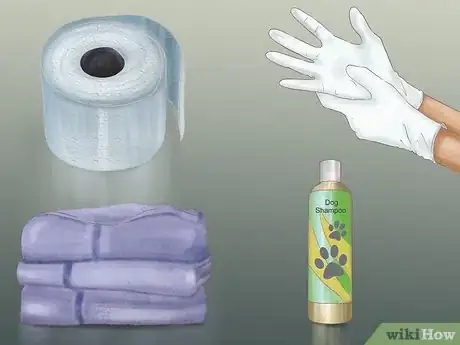 Imagen titulada Express a Dog's Anal Gland Step 3