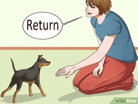 Imagen titulada Care for a Miniature Pinscher Step 12