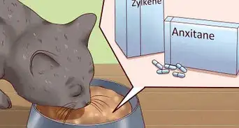 sedar a un gato