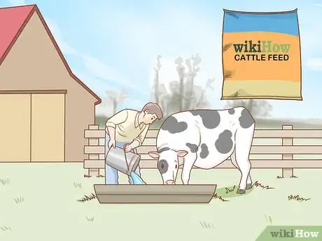 Imagen titulada Care for Cattle Step 2