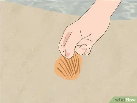 Imagen titulada Have Fun at the Beach Step 18