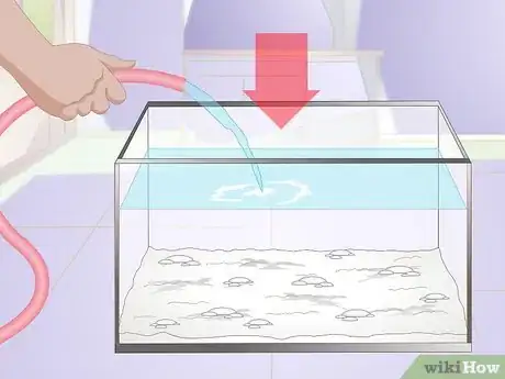 Imagen titulada Acclimate Your Betta Step 3