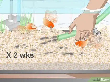 Imagen titulada Clean Fish Tank Rocks Step 15