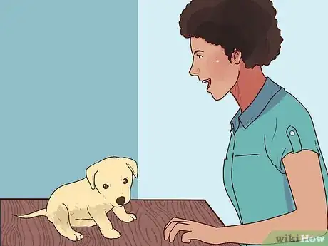 Imagen titulada Buy a Puppy Step 18