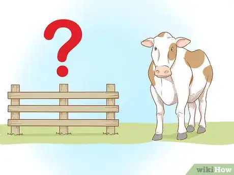 Imagen titulada Care for Cattle Step 3